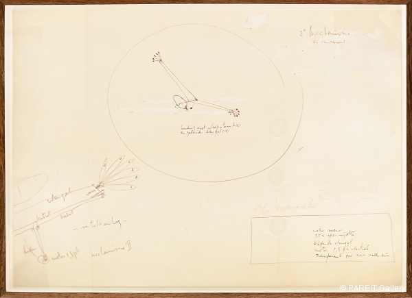 PANAMARENKO - Ijsvogel