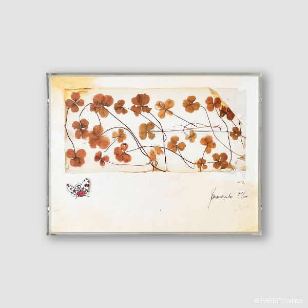 PANAMARENKO - Klavertjes vier bestaan niet