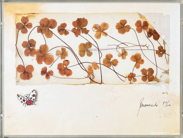 PANAMARENKO - Klavertjes vier bestaan niet