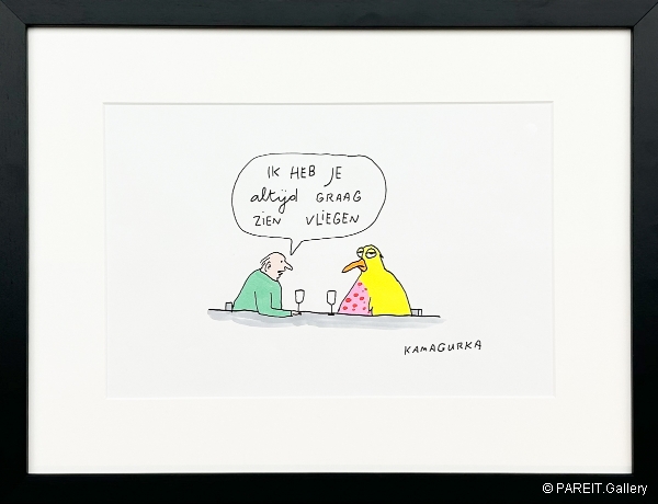 KAMAGURKA - Ik heb je altijd graag zien vliegen