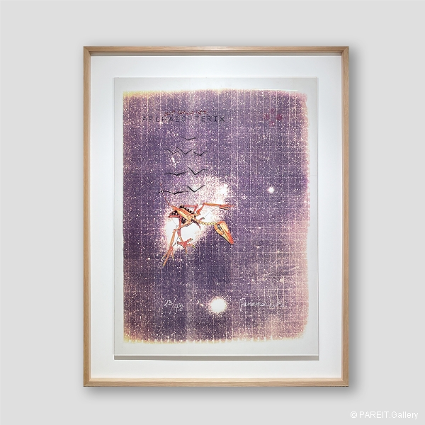 PANAMARENKO - Zelflerende vogel