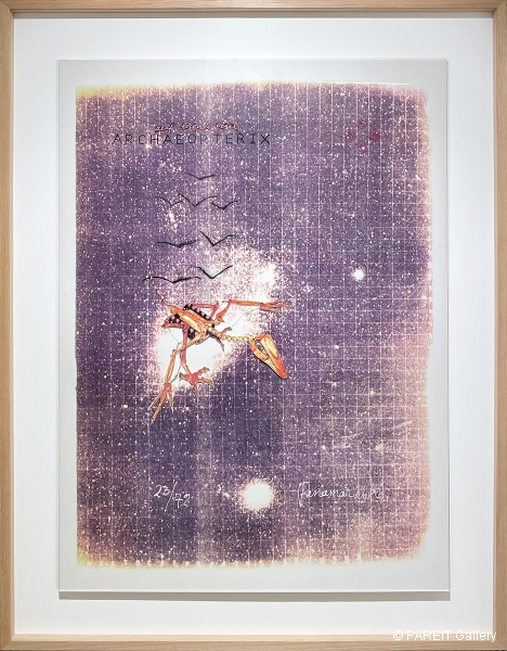 PANAMARENKO - Zelflerende vogel