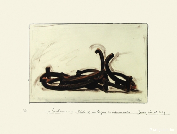 VENET Bernar - Combinaison alatoire de lignes indtermines 6C